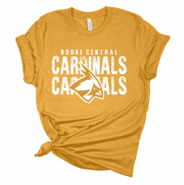 Cardinals Cardinals