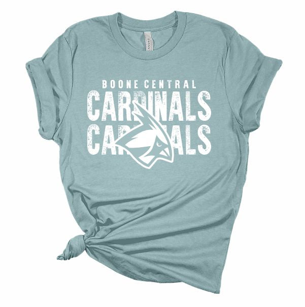 Cardinals Cardinals