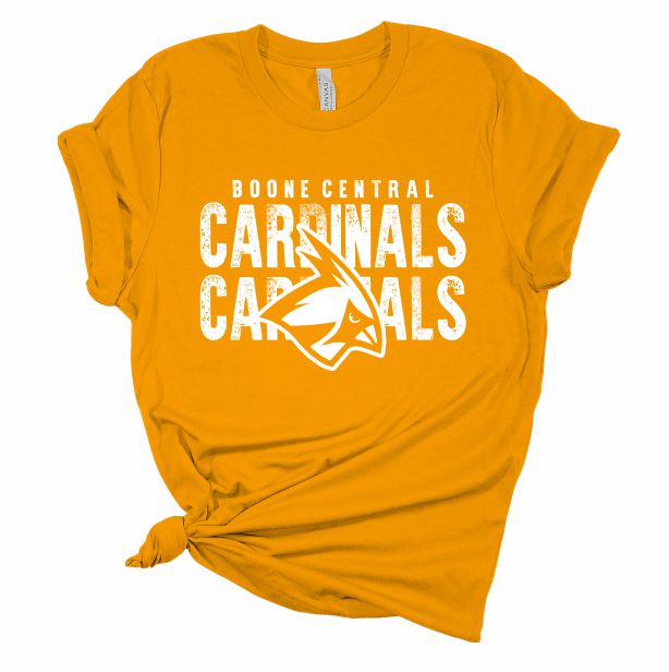 Cardinals Cardinals