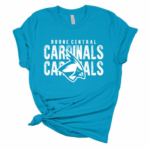 Cardinals Cardinals