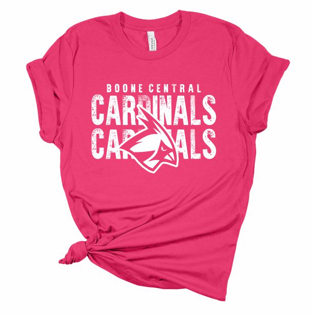 Cardinals Cardinals