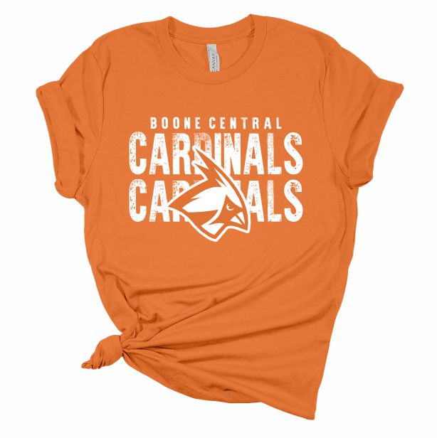 Cardinals Cardinals