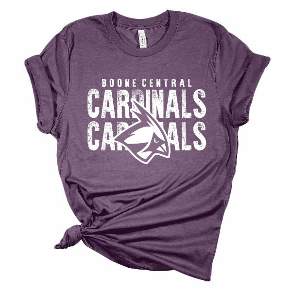 Cardinals Cardinals