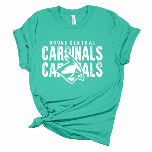Cardinals Cardinals