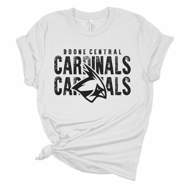 Cardinals Cardinals